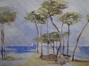 Pinienlandschaft-Sardinien