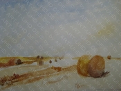 Strohballen - Rügen