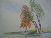 Fränkische Ansicht_5