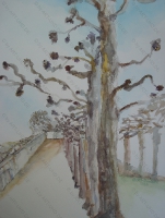 Schlosspark Seehof_2