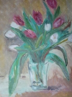Tulpen Lila-Weiß