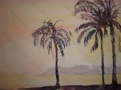 Karibische Nacht 2014,  Aquarell, 36x48cm